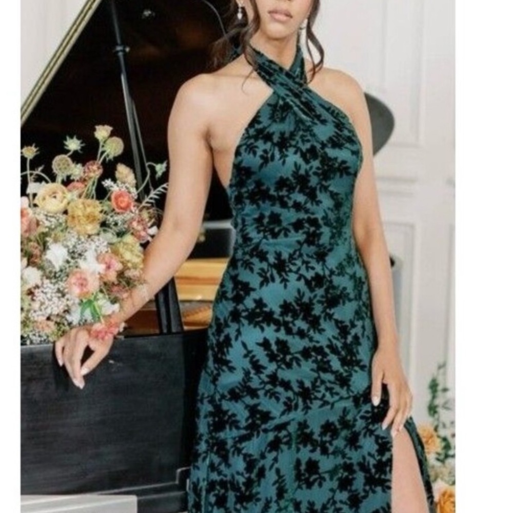Revelry Athena Floral Burnout Velvet Dress